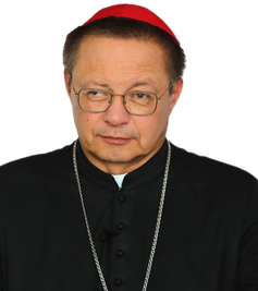 kard. Grzegorz Ryś