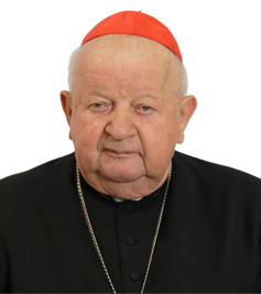 kard. Stanisław Dziwisz